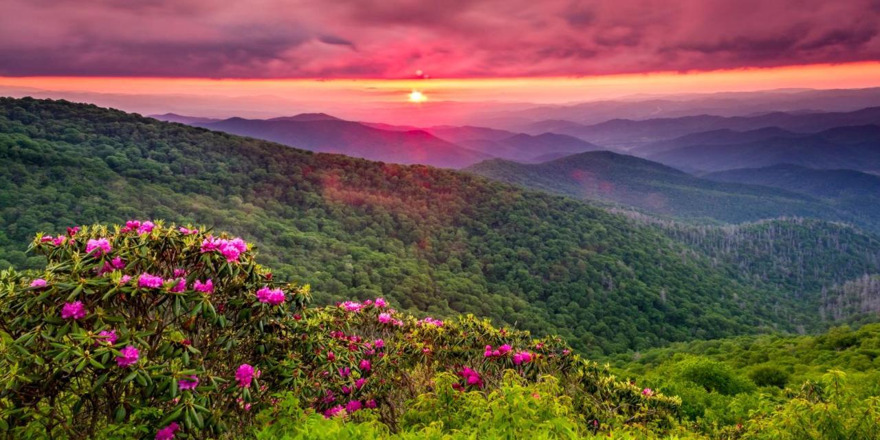 ไมโครเทล อินน์ แอนด์ สวีท บาย วินด์แฮม ซิลวา ดิลส์โบโร แอเรีย ภายนอก รูปภาพ